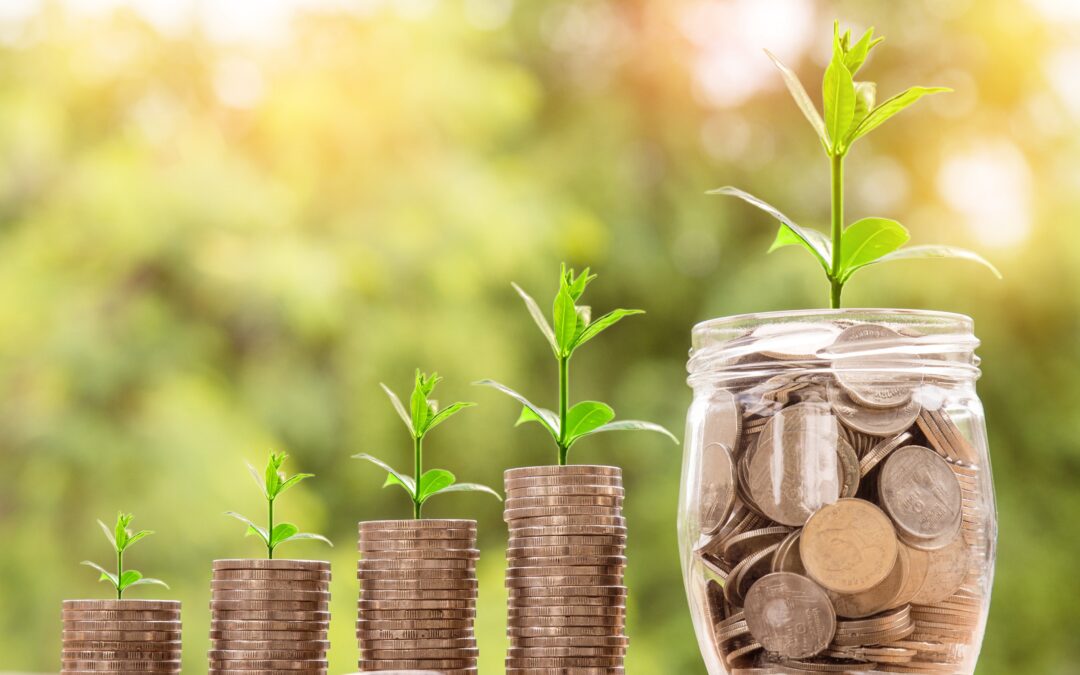 SCPI et investissement : prudence et suspension de capital